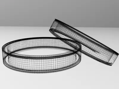 Couple Gold Ring 3D model