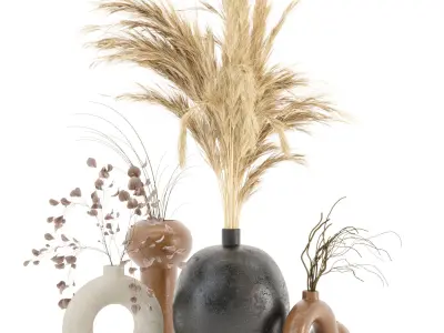 Dry plants 09 - Dried Plantset Pampas whit Concrete vase  3D model