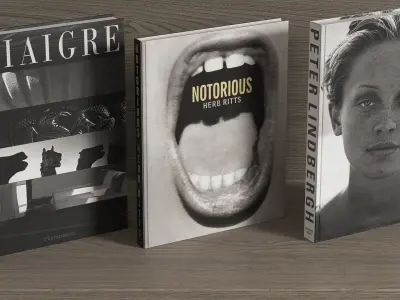 Elegant Photographic Books Collection 02 3D model