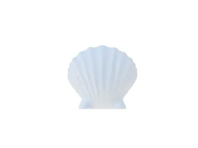 Seashell Vase 3D print model
