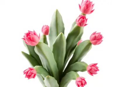 Pink Tulip Bouquet model pack Low-poly 3D model