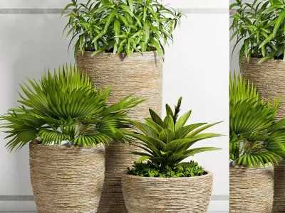 Decorative plant set-31 3D model