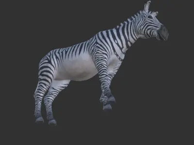 African Zebra Low-poly 3D model