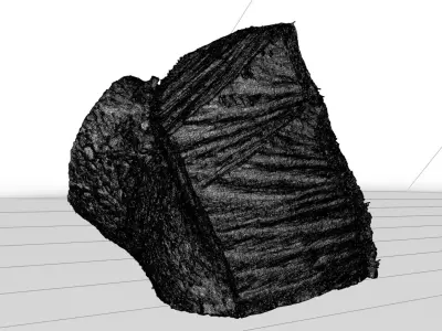 Cherry firewood log 3d scan 3D model