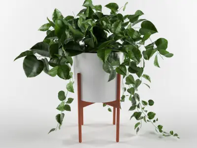 plants-02 potted plant 3D model