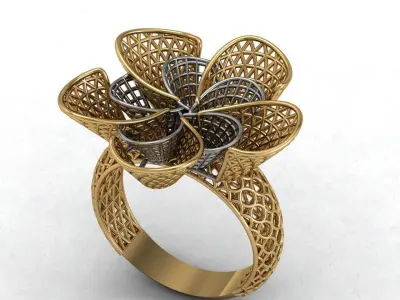 ring wire 3D print model