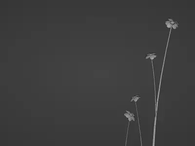 Low poly plants pack - 5 Units Low-poly 3D model