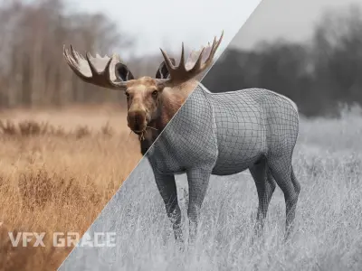 Moose Male UE Character Asset 3D model