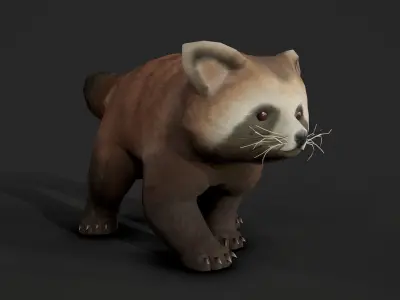 red panda Low-poly 3D model