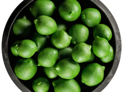 Elgen Black Centerpiece Bowl with Limes 3D model
