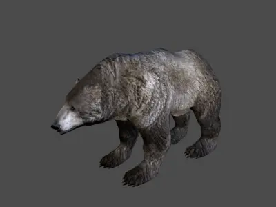 Next Gen AAA Black Grizzly Bear - game model Low-poly 3D model