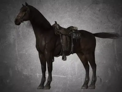 Horse - D7-D8 3D model