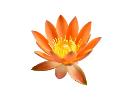 Vibrant Lotus Blossom model pack Low-poly 3D model