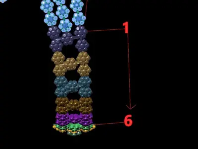 necklace beaded 3D print model
