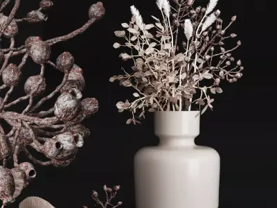 bouquet Dry flowers 02 3D model