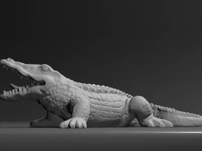 Alligator Crocodile  3D model