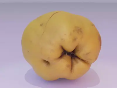 Quince fruit 01 high-poly 3D model