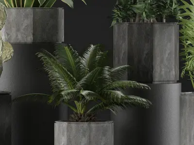 Plants Collection 26 3D model