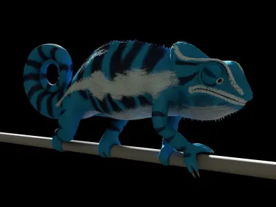 Panther Chameleon - Furcifer Pardalis 3D model