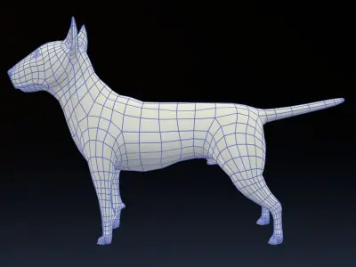 Bull Terrier Low-poly 3D model