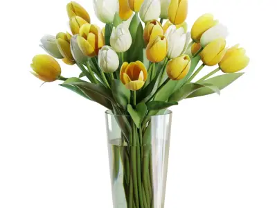 Flower Set 27 - Yellow and White Tulips Bouquet 3D model