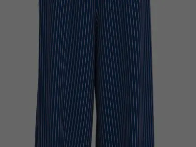 Pants Palazzo Free 3D model