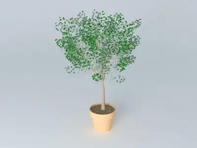 Terracotta vase with tree Free 3D model