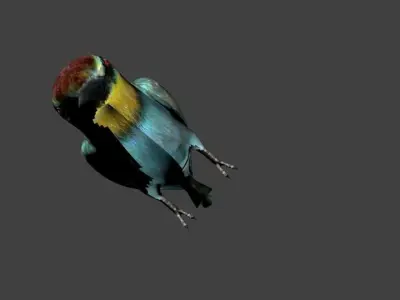 low poly bird Low-poly 3D model