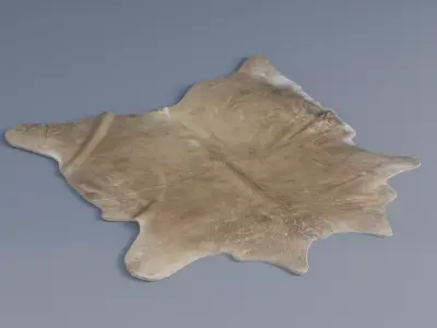 rug 3d model Low-poly 3D model