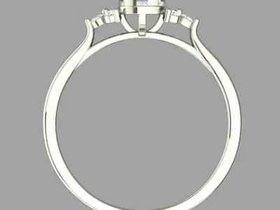 PRESSURE SETTING RING 12 3D print model