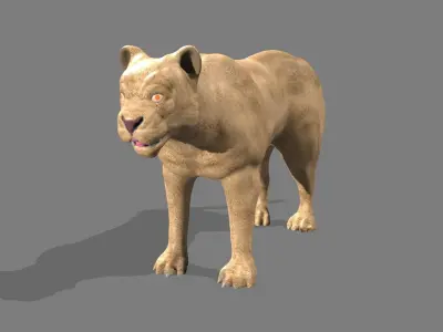 Lioness lion 3D model buy