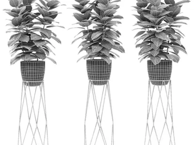 Plant in Pot Flowerpot Exotic Plant 3D model