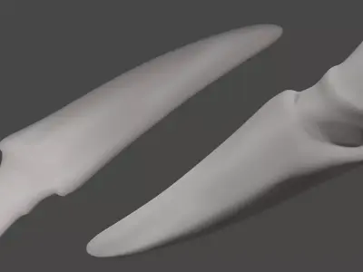 Dragon Tooth 3D model