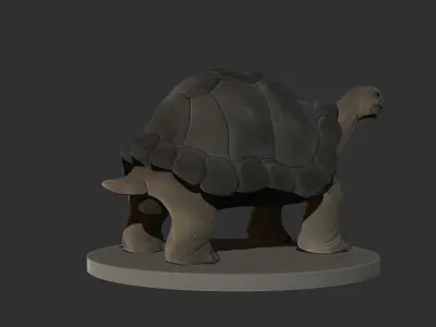 Tortoise 3D High Poly Model 3D model