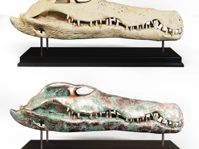 Crocodile skull Low-poly 3D model