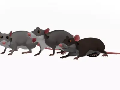 Cartoon Rat Low-poly 3D model