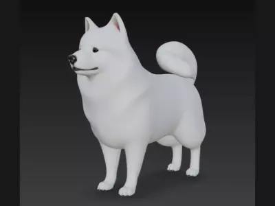 American Eskimo Dog 3D Model 3D model