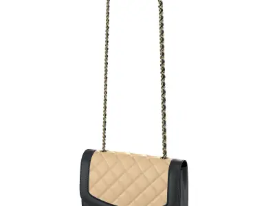 Vintage Medium Diana Flap Bag Black Cream  Low-poly 3D model