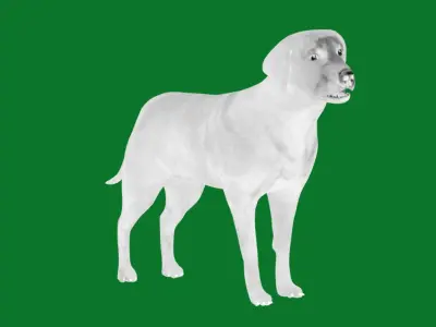 Chocolate Labrador Retriever Dog Low-poly 3D model