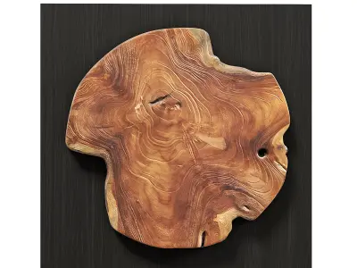 Uttermost Kolini wood wall decor 3D model