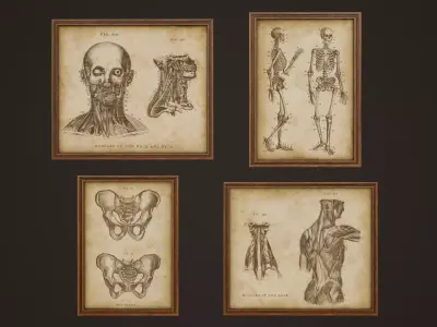 Medical Pictures - PBR Game Ready Low-poly 3D model