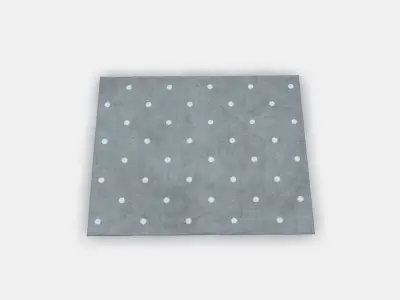 LEN Rug Low-poly 3D model