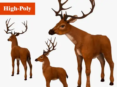 Deer  rig  high-poly  textured 3D model