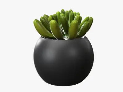 Potted plant decorative 01 3D model