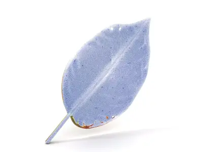 Vibrant Autumn Leaf model pack Low-poly 3D model