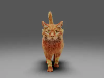 Fur Cat Yellow V3 Rigged  Low-poly 3D model