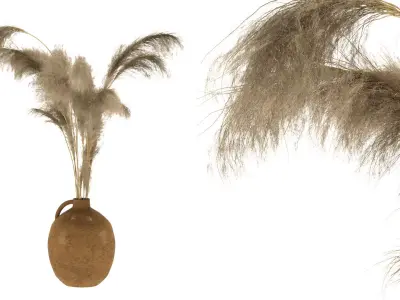dry plants-pampas in jars of clay 3D model