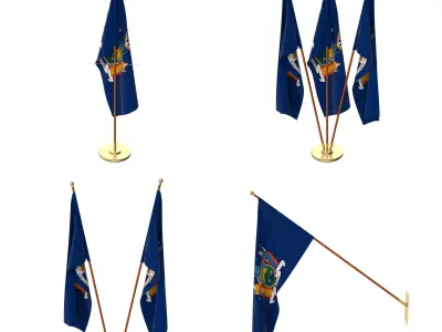 New York Flag Pack 3D model