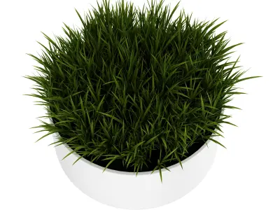 Decorative Grass 3D model