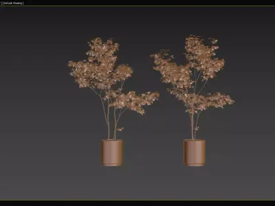 Modern Potted Green Tree 3D Model Collection 3D model